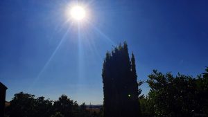 Bislang heißester Tag des Jahres (36 °C) in Eisingen am 19. Juli 2022
