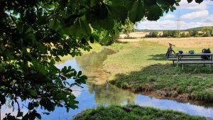 Pfetzerquelle und Zulauf zum Haselbach Nähe AS Helmstadt am 26. Juli 2022