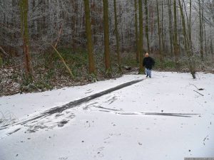 Thiergarten-Sumpf Weihnachten 2007