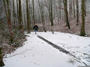Thiergarten-Sumpf Weihnachten 2007