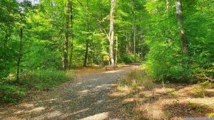 Weg zum Werksandsteinbruch Höchberg am 6. September 2022