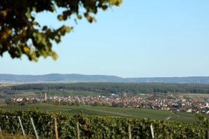 Volkach am Main
