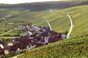 Escherndorf am Main