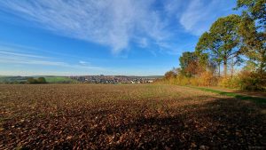 Blick auf Hettstadt