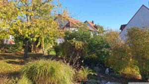 Unser Garten am 13. November 2022