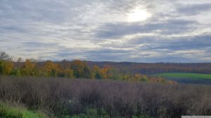Wetterbild aus Waldbrunn vom 15. November 2022