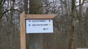 Infotafel im Irtenberger Wald