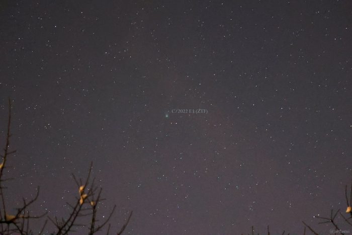 Komet C/2022 E3 (ZTF) am 19. Januar 2023 oberhalb Sternbild Herkules am Nordosthimmel von Eisingen in einer scheinbaren Höhe von 26°.