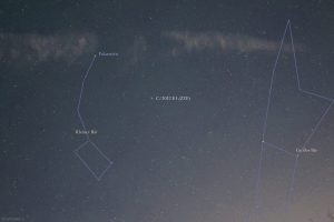 Komet C/2022 E3 (ZTF) am 29. Januar 2023 zwischen Kleiner Bär und Großer Bär