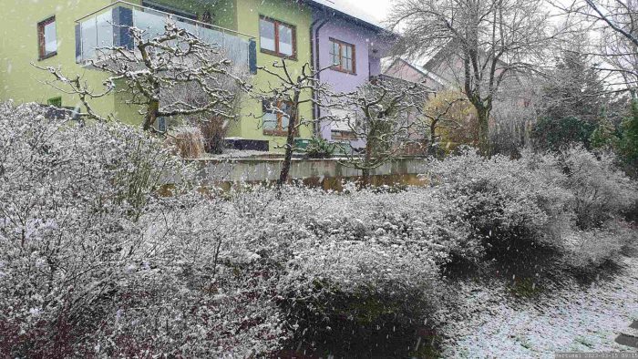 Unser Garten am 15. März 2023