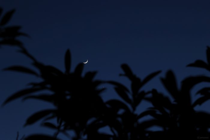 Zunehmender Mond und Venus am 24. März 2023