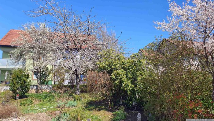 Unser Garten am 19. April 2023