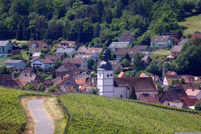 Blick über die Weinberge bei Sommerhausen nach Goßmannsdorf am Main