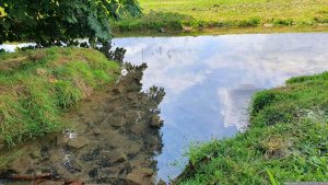 An der Pfetzerquelle bei Waldbrunn am 20. Juli 2023