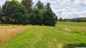An der Pfetzerquelle bei Waldbrunn am 20. Juli 2023