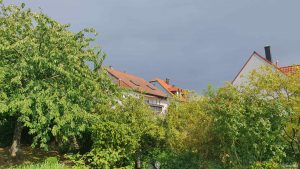 Unser Garten nach dem Regen am 26. Juli 2023