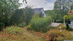 Wetterumschwung - unser Garten am 3. Oktober 2023
