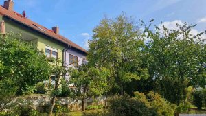 Unser Garten am 4. Oktober 2023