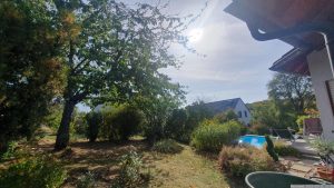 Unser Garten am 11. Oktober 2023