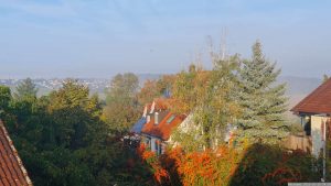 Nebel und erster Frost am Morgen des 16. Oktober 2023 in Eisingen