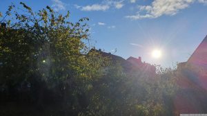 Unser Garten am 21. Oktober 2023