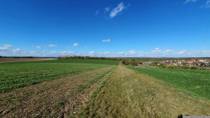 Blick zum Ettersberg in Eisingen am Ortsausgang nach Waldbrunn