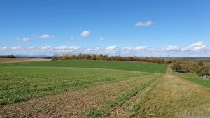 Blick zum Ettersberg in Eisingen