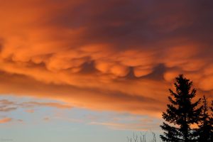 Mammatus-Wolken nach Sonnenuntergang am 21. Oktober 2023 am Nordwesthimmel von Eisingen
