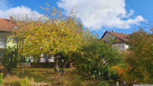 Unser Garten am 6. November 2023