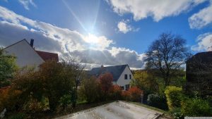 Unser Garten am 6. November 2023