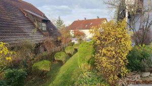 Unser Garten am 26. November 2023
