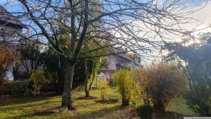 Unser Garten am 26. November 2023