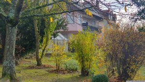 Unser Garten am 26. November 2023