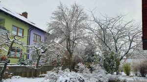 Unser Garten am 28. November 2023