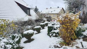 Unser Garten am 28. November 2023