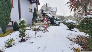 Unser Garten am 28. November 2023
