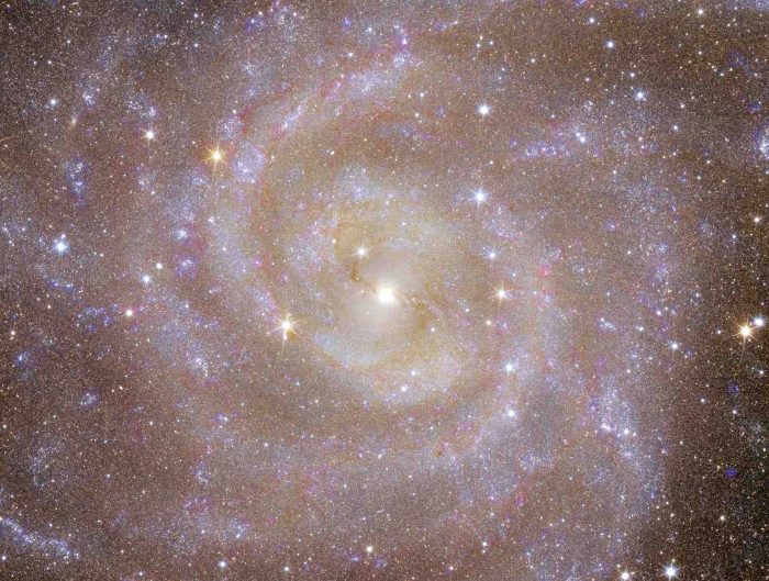 Ausgeschnittenes Bild der „Versteckten Galaxie“ (IC 342)