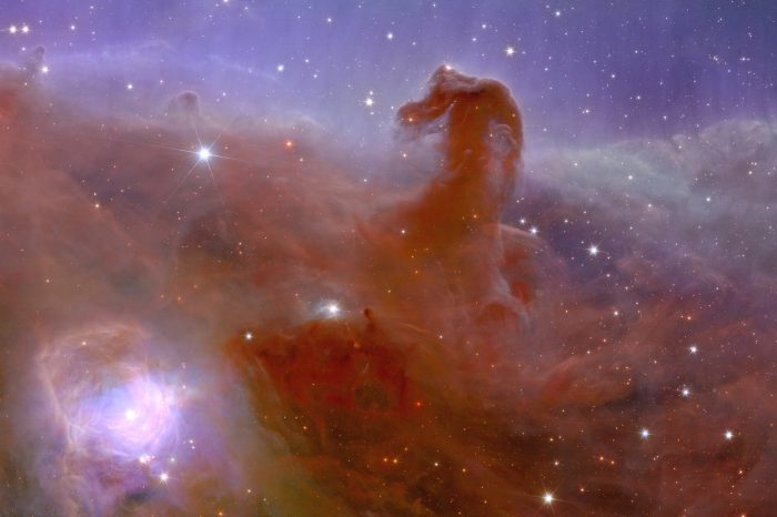 Der Pferdekopfnebel im Orion