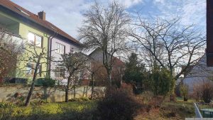 Unser Garten am 9. Dezember 2023