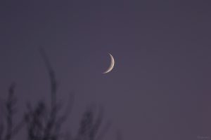 Zunehmender Mond am 16. Dezember 2023