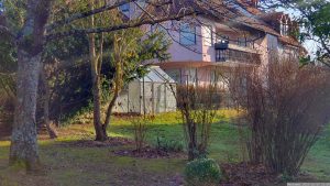 Unser Garten am 17. Dezember 2023 (3. Advent)
