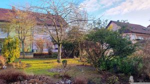 Unser Garten am 20. Dezember 2023