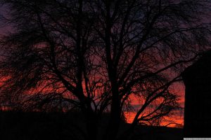 Abendrot in Eisingen am 27. Dezember 2023