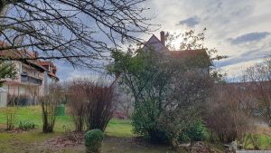 Unser Garten am 31. Dezember 2023