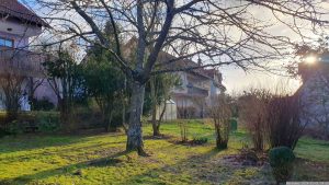 Unser Garten am 1. Januar 2024