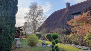 Unser Garten am 1. Januar 2024