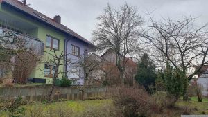 Unser Garten am 3. Januar 2024