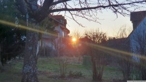 Sonnenaufgang in unserem Garten am 9. Januar 2024 bei -7 Grad