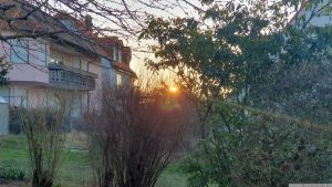 Sonnenaufgang in unserem Garten am 9. Januar 2024 bei -7 Grad