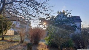 Unser Garten am 11. Januar 2024